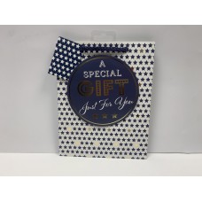 Blue & White Special Gift Gift Bag