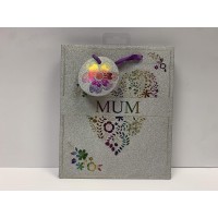 Silver Iridescent Mum Gift Bag