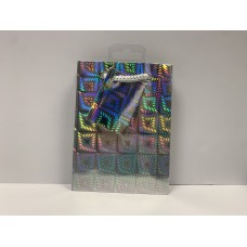 Small Silver & Iridescent Gift Bag