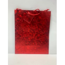 Red Iridescent Gift Bag