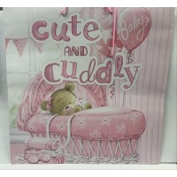Cute & Cuddly Teddy Gift Bag